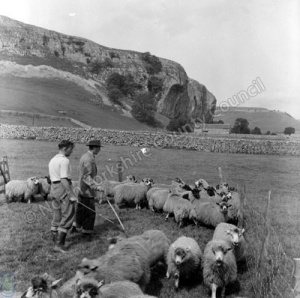 Sheep Sale, Kilnsey